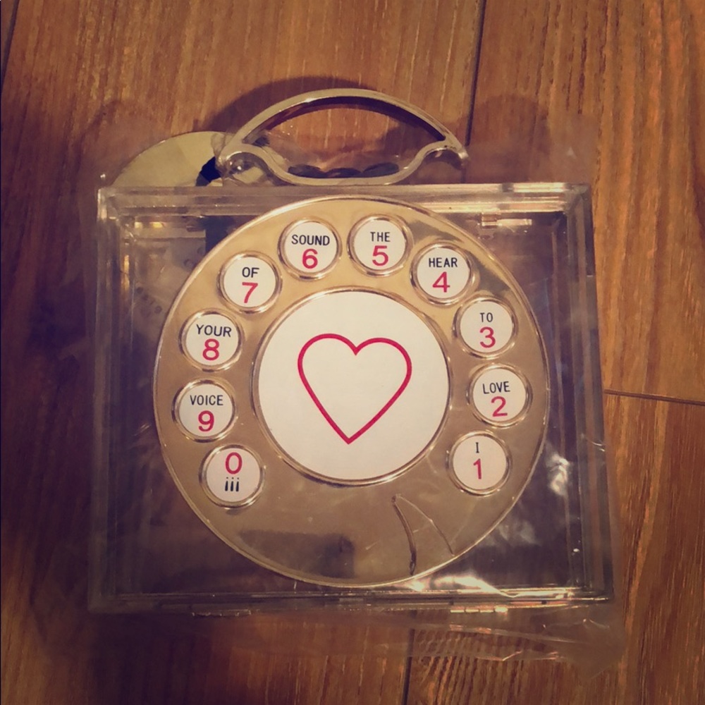 Small acrylic purse